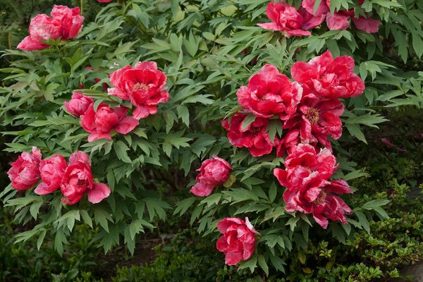 Comment bien faire la déco de sa maison ?